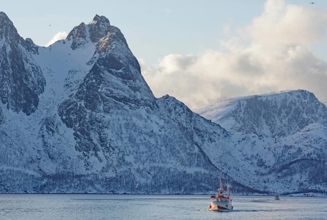 A fishing boat in calm waters in front of impressive snow-capped mountains, Myre, Vesteralen,
