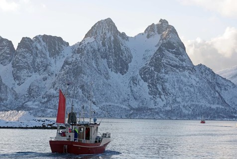 A red fishing boat sails through the wintry sea in front of snow-covered mountains, Myre,