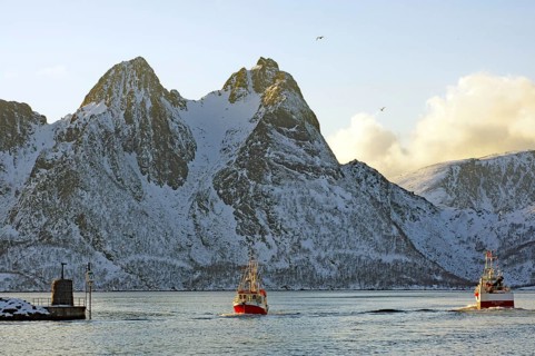 Two fishing boats sailing through the sea in front of snow-covered mountains, Myre, Vesteralen,
