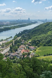 Viewpoint on the way to Leopoldskirche with a view of Kahlenbergdorf and the Danube in the