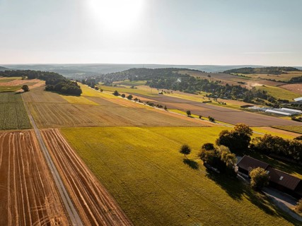Green and golden fields under a sunny sky, far-reaching and idyllic, Gechingen, district of Calw,