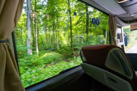 View from a bus window onto a green forest on a sunny day, Lake Constance, Germany