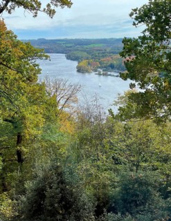 View through treetops of mixed forest Schellenberger Wald in late summer to Lake Baldeney, Essen,