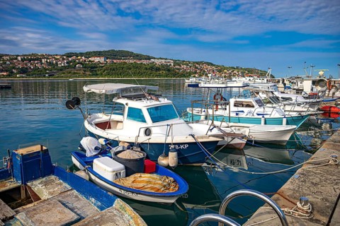 Marina on Ukmarjev Square in the city of Koper, Slovenia