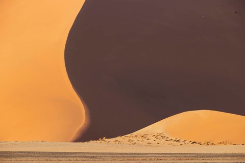 Sand dunes in the Namib Desert. Namib-Naukluft Park, Namibia