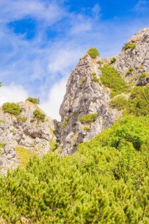 Steep rock formations with green vegetation against a blue sky, Herzogstand summit, Walchensee,