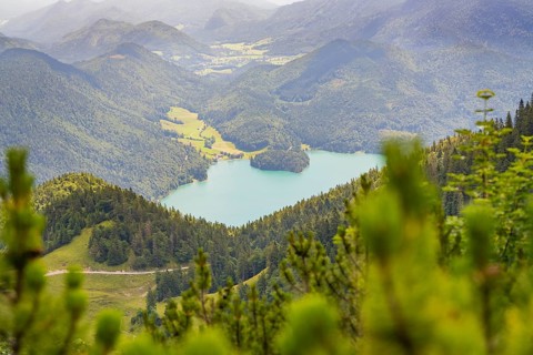 Panoramic view of a lake surrounded by mountains and forests, Herzogstand summit, Walchensee,