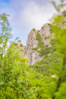 Steinerner Berg with lush green foliage under a clear sky, Herzogstand summit, Walchensee,