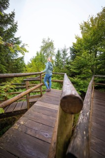 Person standing on a wooden viewing platform and looking over the forest, Lotharpfad, Black Forest,