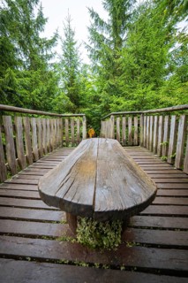 A rustic wooden table stands on a footbridge in a green forest and invites you to linger,