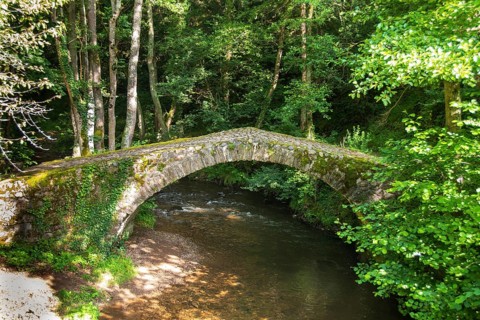 Gallo Roman Bridge, Valbeleix, Auvergne Volcanoes Natural Park, Puy de Dome department,