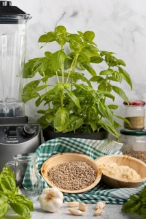 Basil next to a blender, with bowls full of pesto ingredients such as sunflower seeds and Parmesan