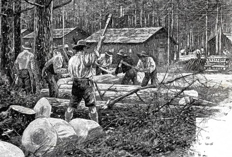 Woodworker in a forest destroyed by pests, here by the moth nun, Lymantria monacha, 1890,