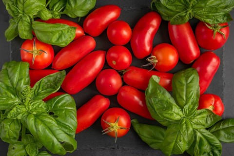 Red tomatoes and green basil on a dark slate plate