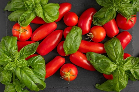 Bright red tomatoes next to fresh basil on a dark slate plate