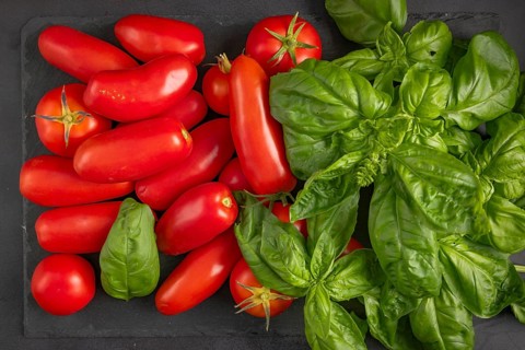 Fresh tomatoes and basil arranged on a dark slate plate