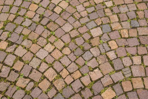 Paving stones in curved pattern with light moss growth in between, background, texture, North