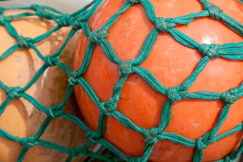 Swimmer in a green fishing net, Greetsiel, East Frisia, Lower Saxony, Germany