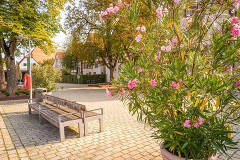 Town square with blooming oleander, park benches, surrounded by trees, small town pearl Nagold,