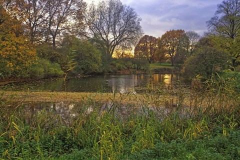 A moat in an autumnal evening mood with colourful trees and a peaceful atmosphere, Krefeld Castle