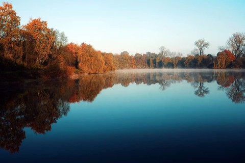 Calm pond with autumn trees and clear reflection, Krefeld