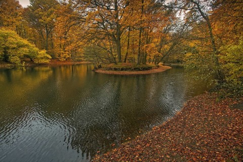A pond with a wooded island in autumn colours and a calm water surface, Krefeld city forest