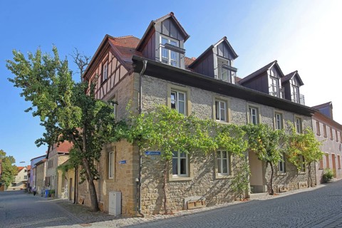 Building with grapevines, stone house, wine route, Volkach, Lower Franconia, Franconia, Bavaria,