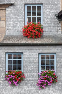 House façade with blue lattice windows and geraniums, Guingamp, Brittany, France