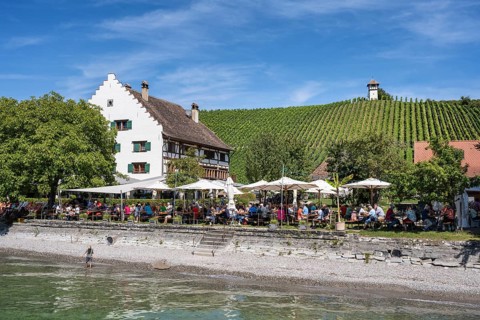 Ein Biergarten am Bodenseeufer mit dem historischen Fachwerkbau vom Rebgut Haltnau bei Meersburg,