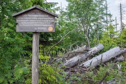 Signpost for bark beetle infestation, felling of trees and deadwood regeneration, wooden sign with