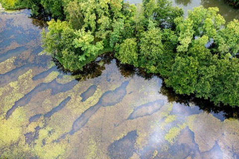 Aerial view, islands in the Drau, river, Brenndorf bird sanctuary, Carinthia, Austria