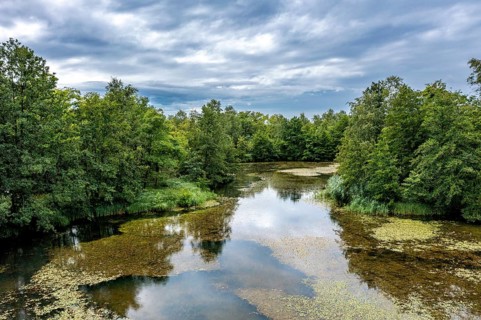 Brenndorf bird sanctuary, Drau riverbank, river, Carinthia, Austria