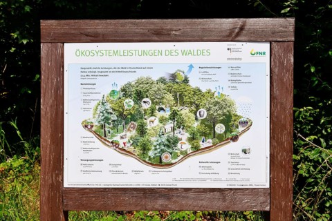 Forbach, Germany - July 12th 2025: Infographic about the forest ecosystem in the Black Forest with