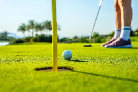 Golfer focusing on a crucial putt on a lush green course, with a ball near the hole. Palm trees and