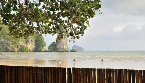 Tropical beach view with tourists enjoying railay beach in krabi, thailand, framed by a bamboo