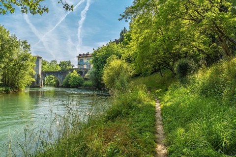 Lush vegetation frames a tranquil pathway meandering along the gave d'oloron river, leading towards