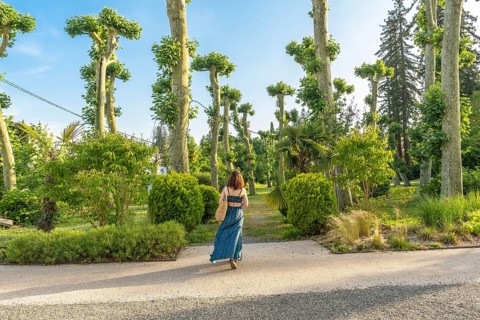 Young woman enjoying a sunny day walking in a park with pruned plane trees and lush vegetation in