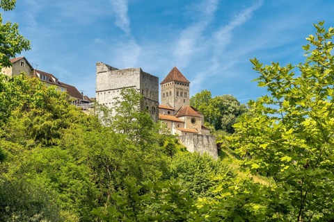 The historic church of sauveterre de bearn rises majestically above a canopy of vibrant green