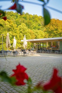 Café with terrace and parasols, surrounded by green trees and red flowers, Nagold, district of