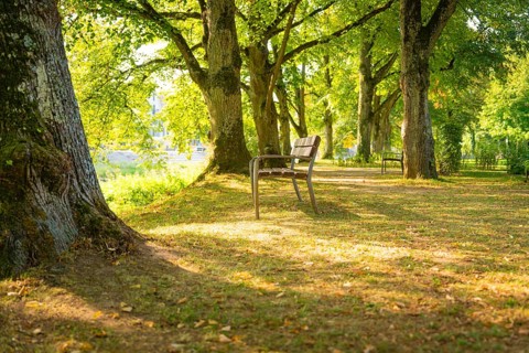 Park with shady bench under trees, the light creates an autumnal ambience, Nagold, district of