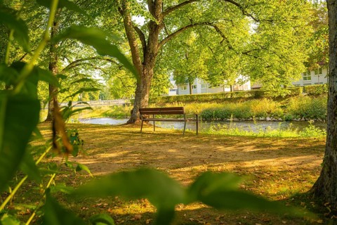 Wooden bench in a shady park by the river, surrounded by green trees, Nagold, district of Calw,