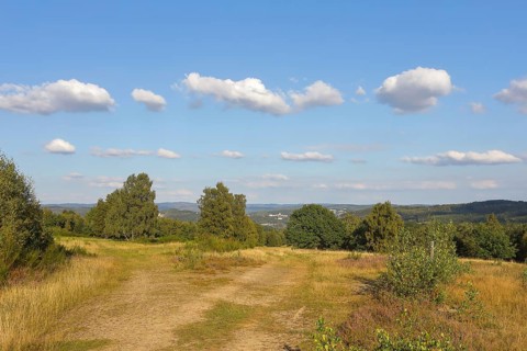 Hiking trails in the Truppacher Heide, Trupbacher Heide nature reserve with heaths and rough