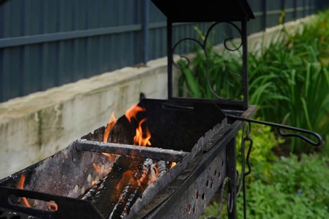 In a backyard. Lush green plants surround the grill, showcasing a peaceful outdoor setting perfect