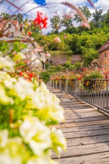 A boardwalk lined with vibrant flowers leads to a historic building, small town pearl Calw, Black