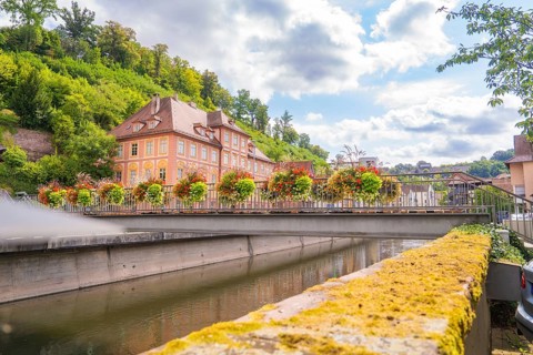 Historic building by the river, surrounded by blooming flowers and a green hill, small town pearl