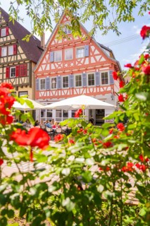 Red roses in full bloom in front of colourful half-timbered houses on a sunny summer day, small