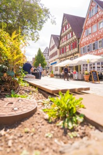 View of half-timbered houses and flowering plants along the path in bright sunshine, small town of