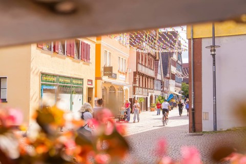 Lively street in a charming old town with cyclists and passers-by, surrounded by historic houses,