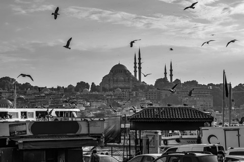 Scenic view of seagulls flying over the bosphorus strait with the suleymaniye mosque dominating the