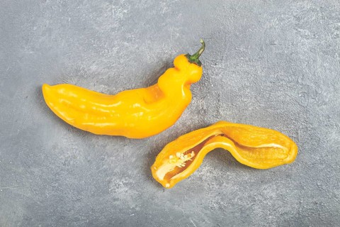 Two unusual yellow peppers are displayed on a textured gray surface. One pepper is whole while the